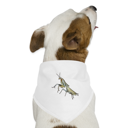 Hunde-Bandana Deroplatys truncata female - weiß