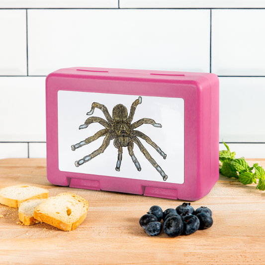 Lunchbox Idiothele mira - Pink