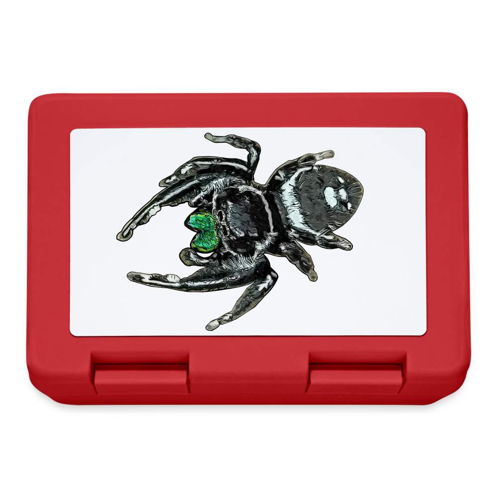 Lunchbox Phidippus regius White Bahamas male - Rot