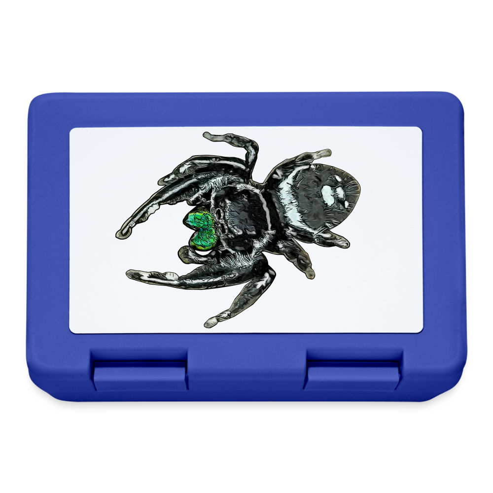 Lunchbox Phidippus regius White Bahamas male - Royalblau