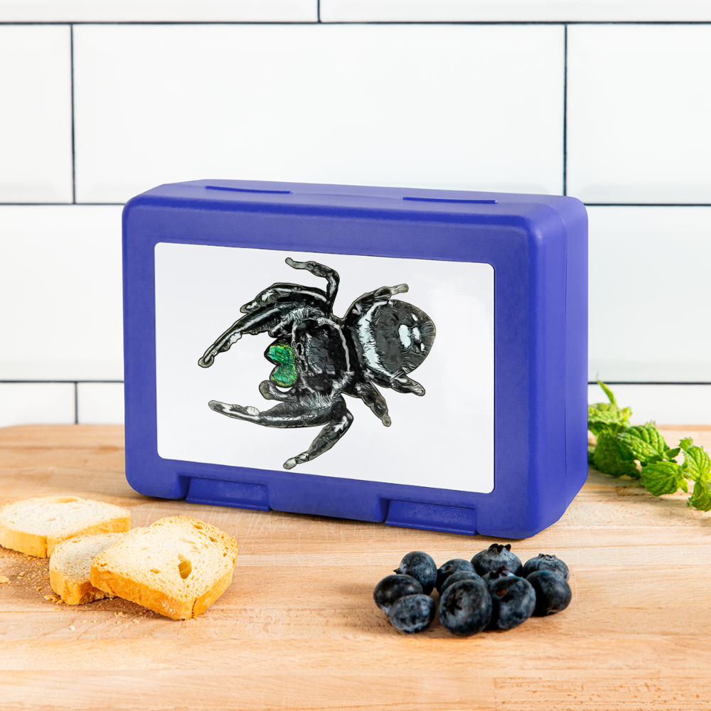 Lunchbox Phidippus regius White Bahamas male - Royalblau