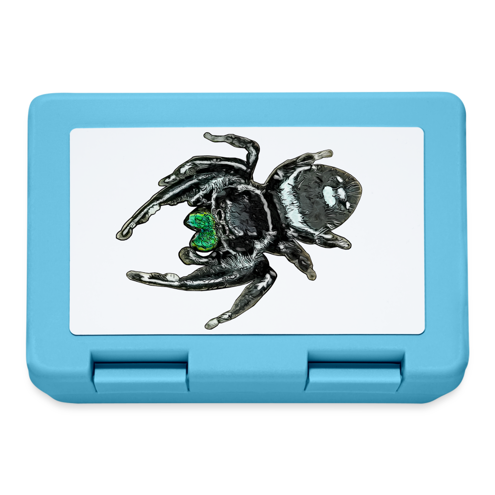 Lunchbox Phidippus regius White Bahamas male - Saphirblau