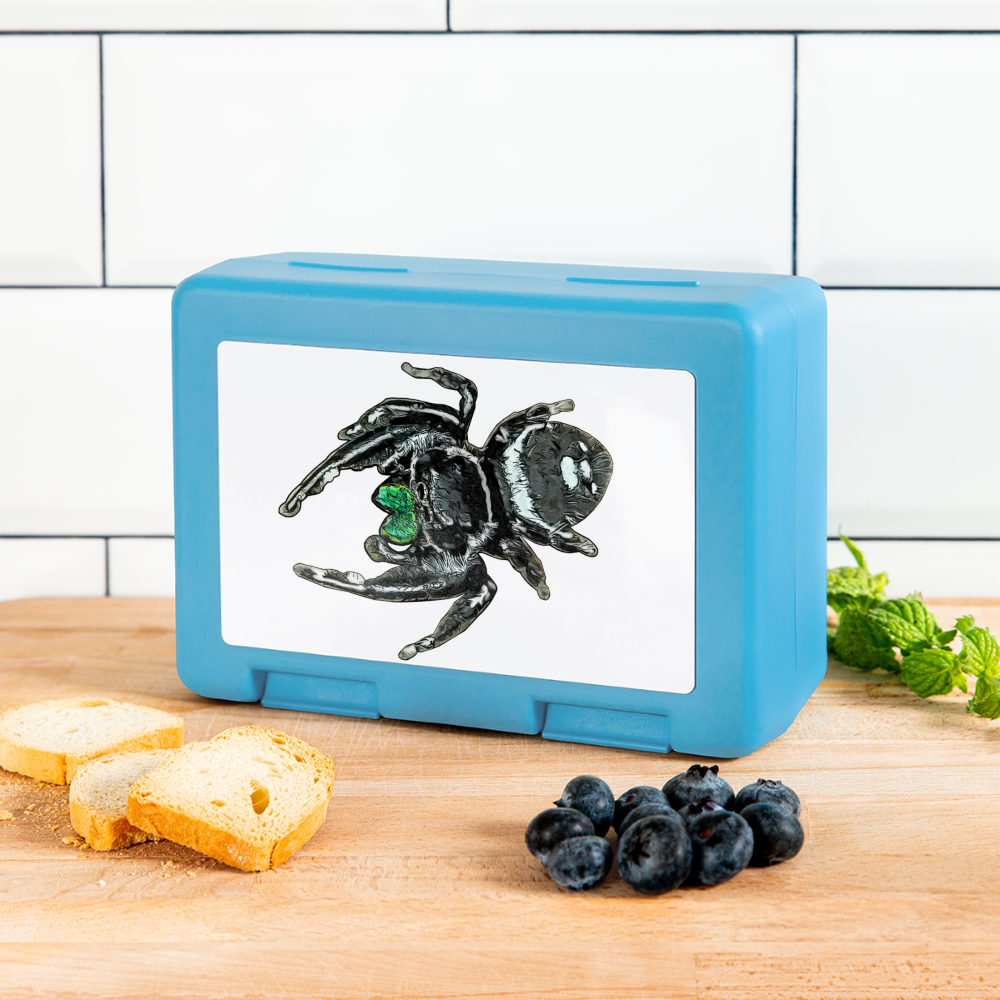 Lunchbox Phidippus regius White Bahamas male - Saphirblau