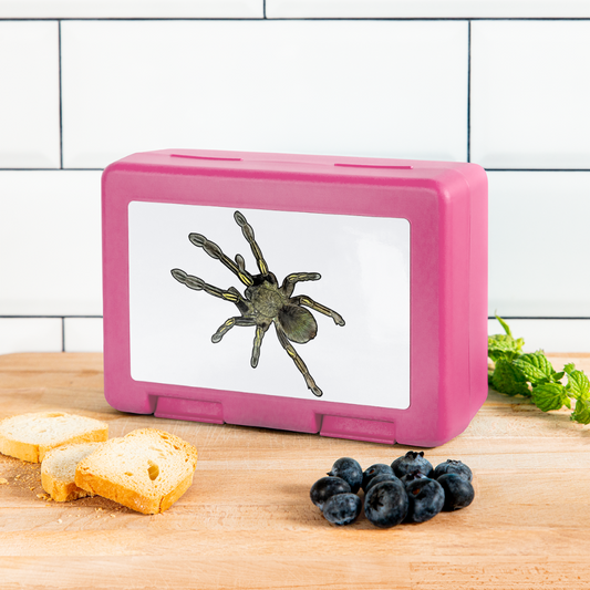 Lunchbox Ephebopus murinus - Pink