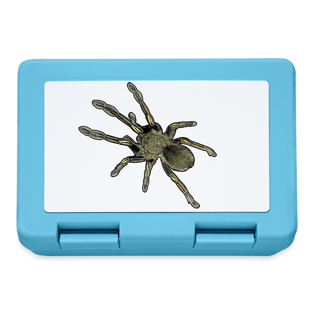 Lunchbox Ephebopus murinus - Saphirblau