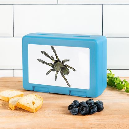 Lunchbox Ephebopus murinus - Saphirblau