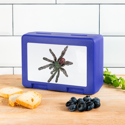 Lunchbox Caribena versicolor - Royalblau