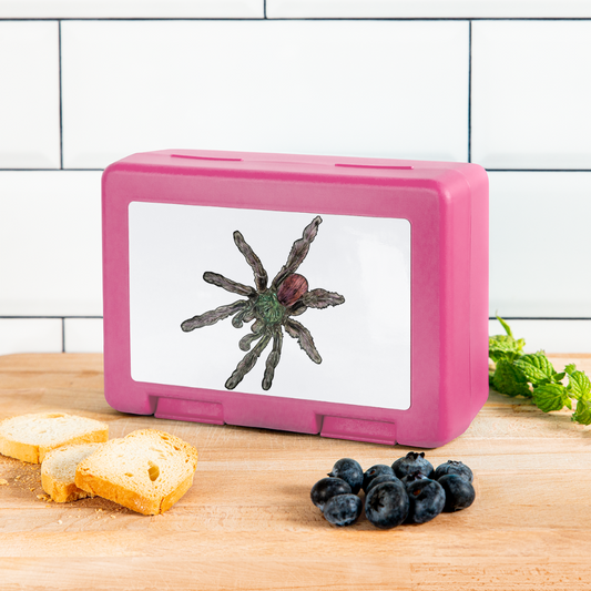 Lunchbox Caribena versicolor - Pink