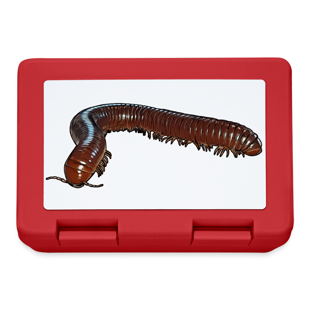 Lunchbox Ophistreptus guineensis - Rot