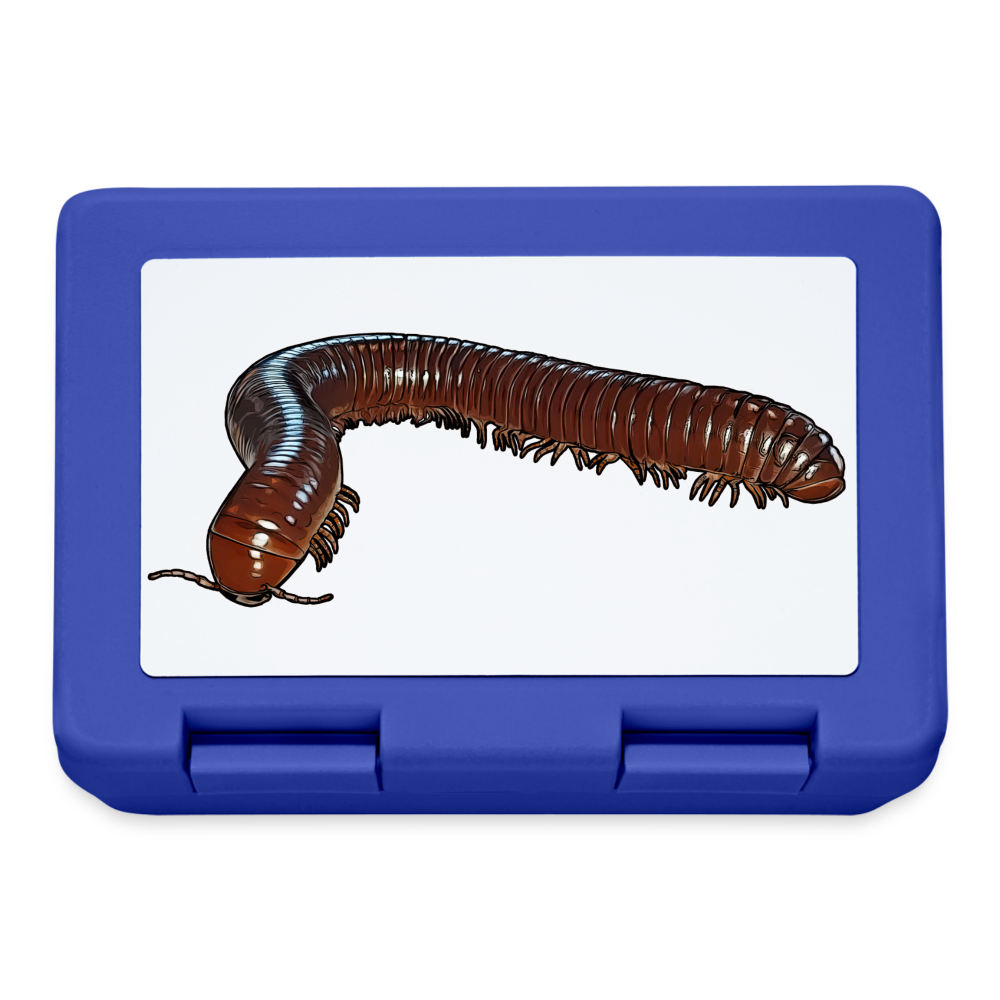 Lunchbox Ophistreptus guineensis - Royalblau
