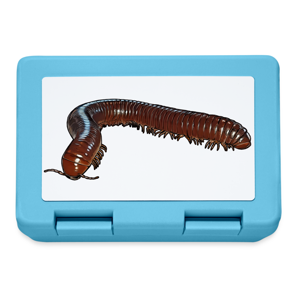 Lunchbox Ophistreptus guineensis - Saphirblau
