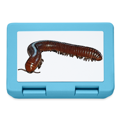 Lunchbox Ophistreptus guineensis - Saphirblau