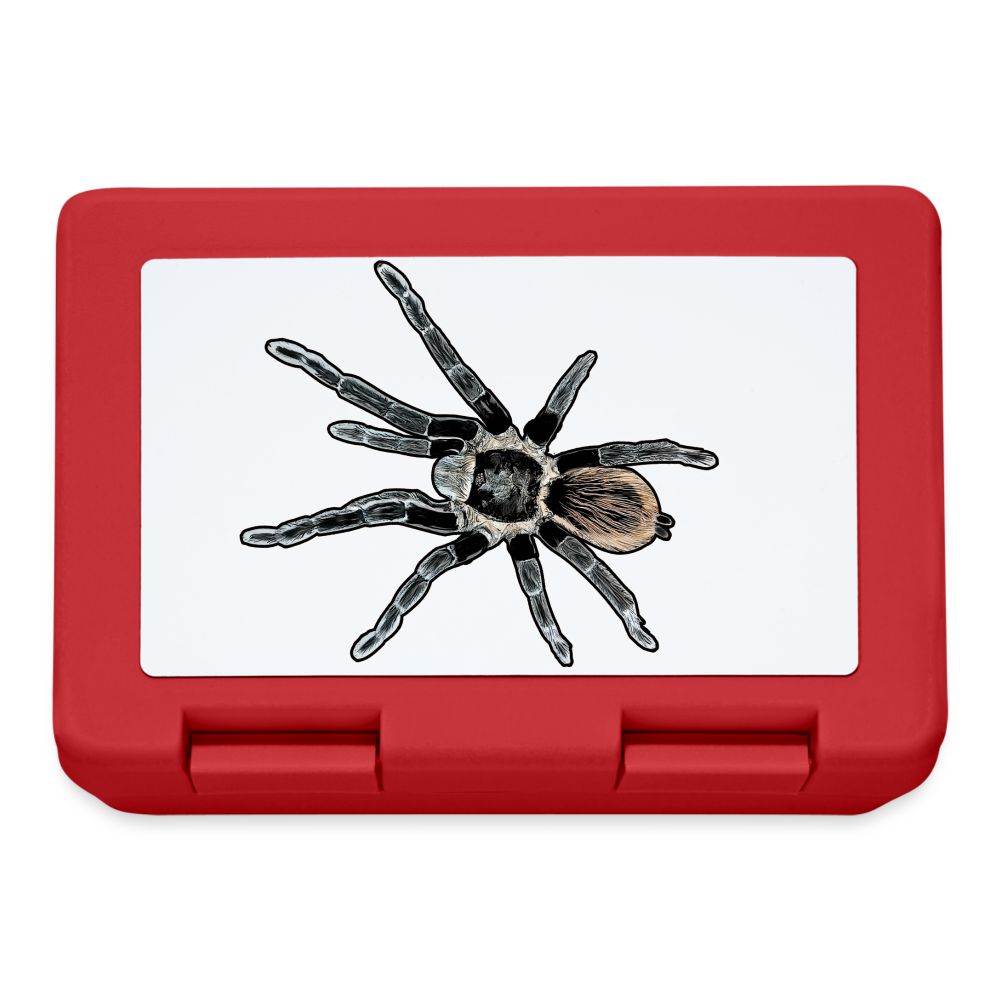 Lunchbox Tliltocatl vagans - Rot