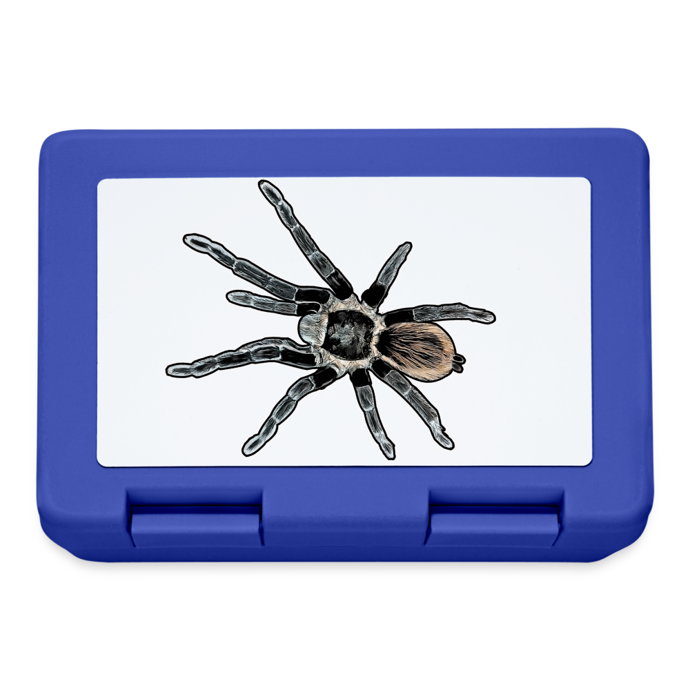 Lunchbox Tliltocatl vagans - Royalblau