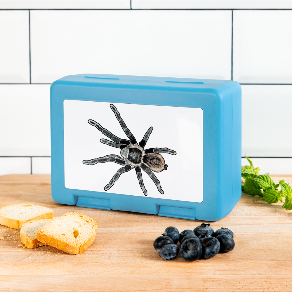 Lunchbox Tliltocatl vagans - Saphirblau