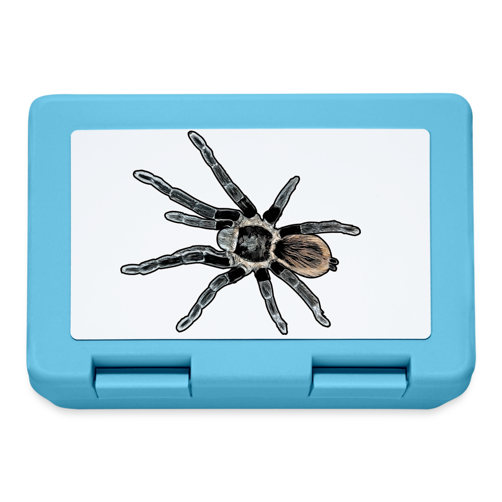 Lunchbox Tliltocatl vagans - Saphirblau