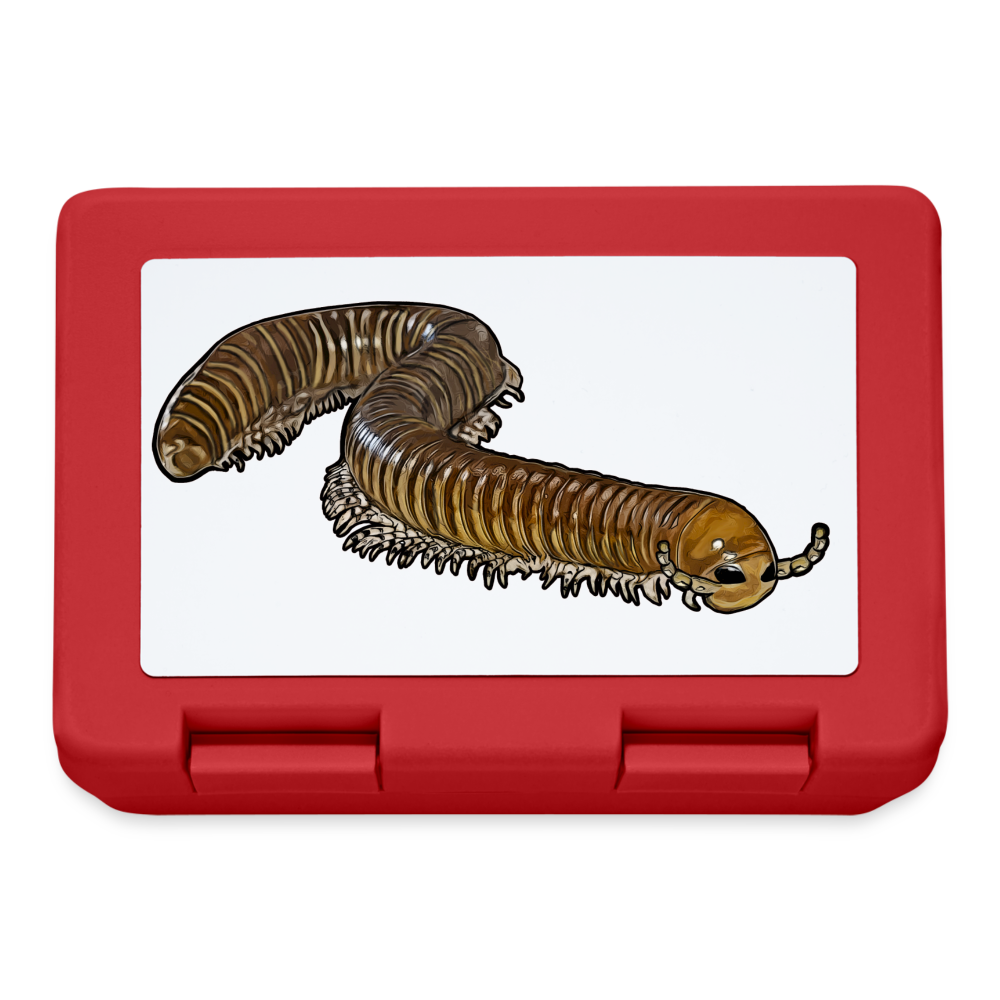 Lunchbox Telodeinopus aoutii - Rot
