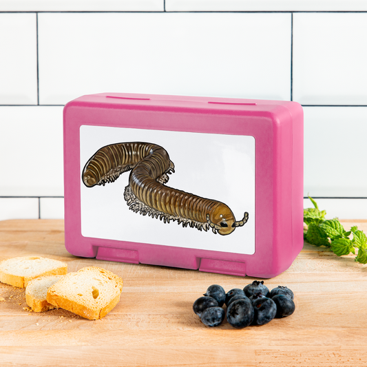 Lunchbox Telodeinopus aoutii - Pink