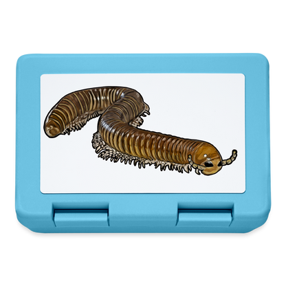 Lunchbox Telodeinopus aoutii - Saphirblau