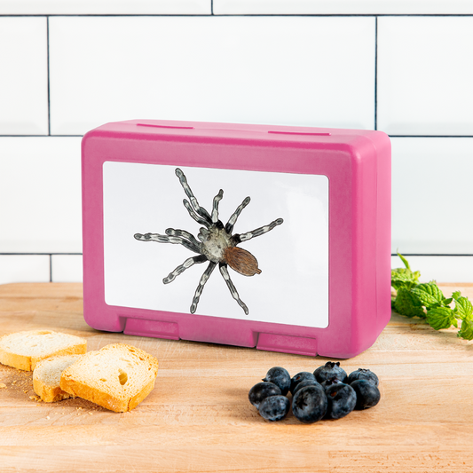 Lunchbox Nhandu chromatus - Pink