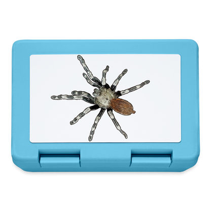 Lunchbox Nhandu chromatus - Saphirblau