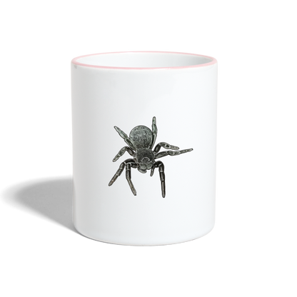 Tasse Farbig Eresus walckenaeri - Weiß/Pink