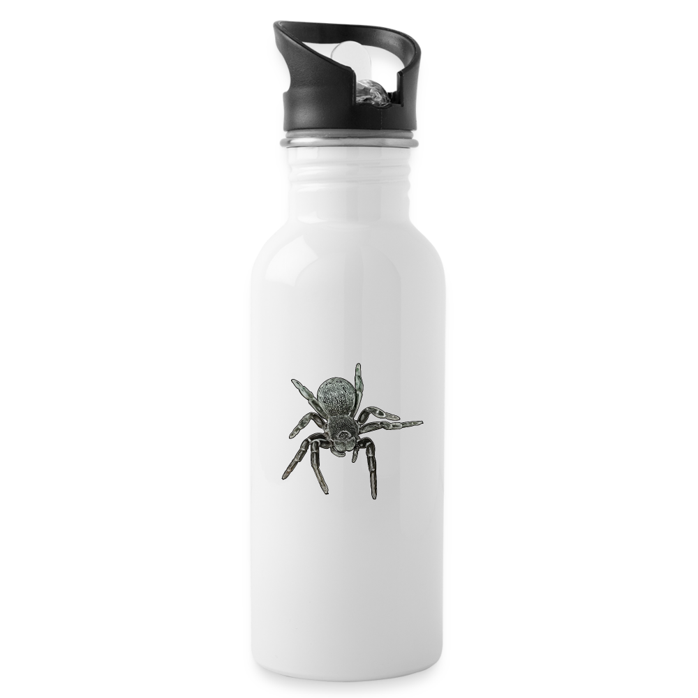 Trinkflasche Eresus walckenaeri - weiß