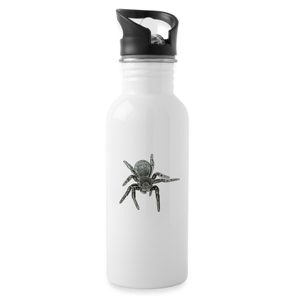 Trinkflasche Eresus walckenaeri - weiß