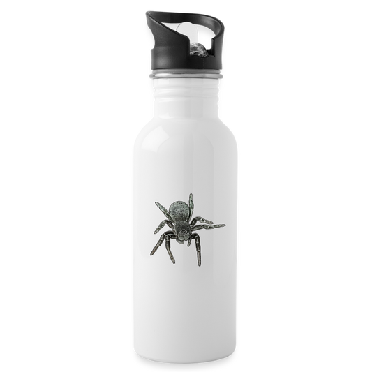 Trinkflasche Eresus walckenaeri - weiß