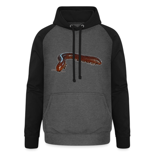Unisex Baseball Hoodie Ophistreptus guineensis - Graphit/Schwarz
