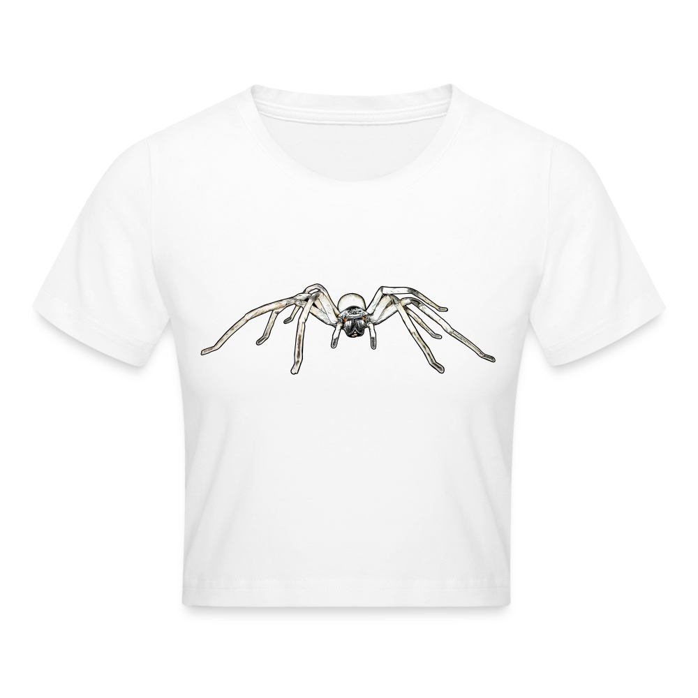 Crop T-Shirt Cerbalus negebensis - weiß