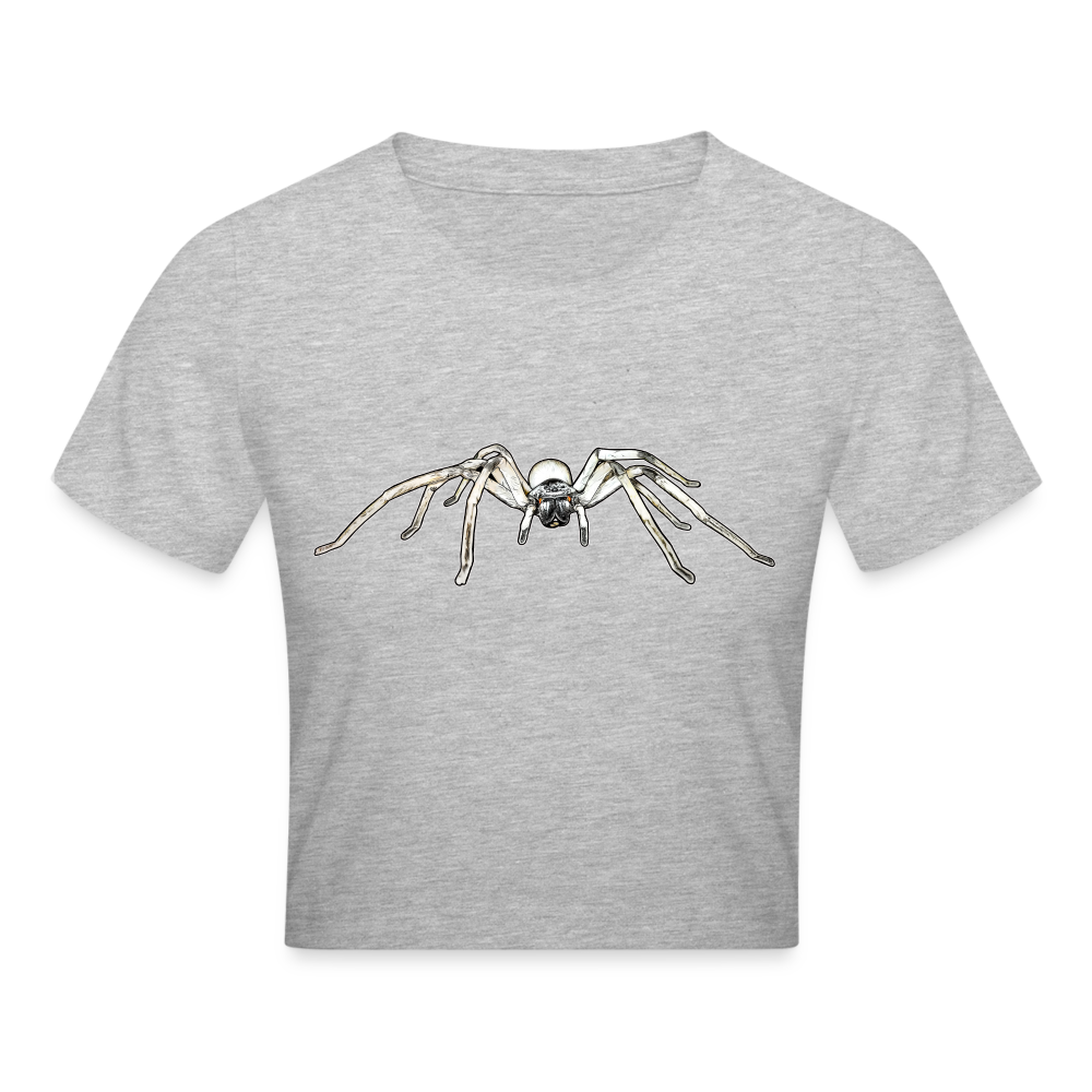 Crop T-Shirt Cerbalus negebensis - Grau meliert