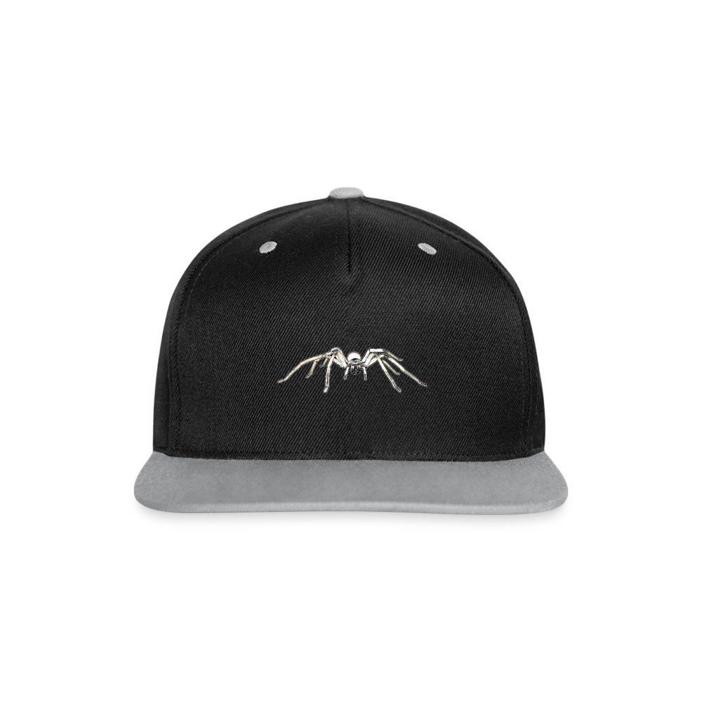 Cappy Kontrast Snapback Cerbalus negebensis - Schwarz/Grau