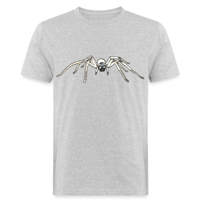 Männer Bio-T-Shirt Cerbalus negebensis - Grau meliert