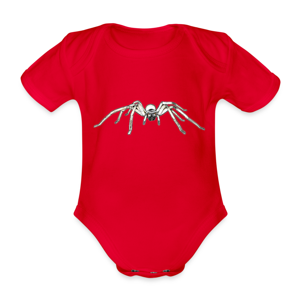 Baby Bio Body kurz Cerbalus negebensis - Rot