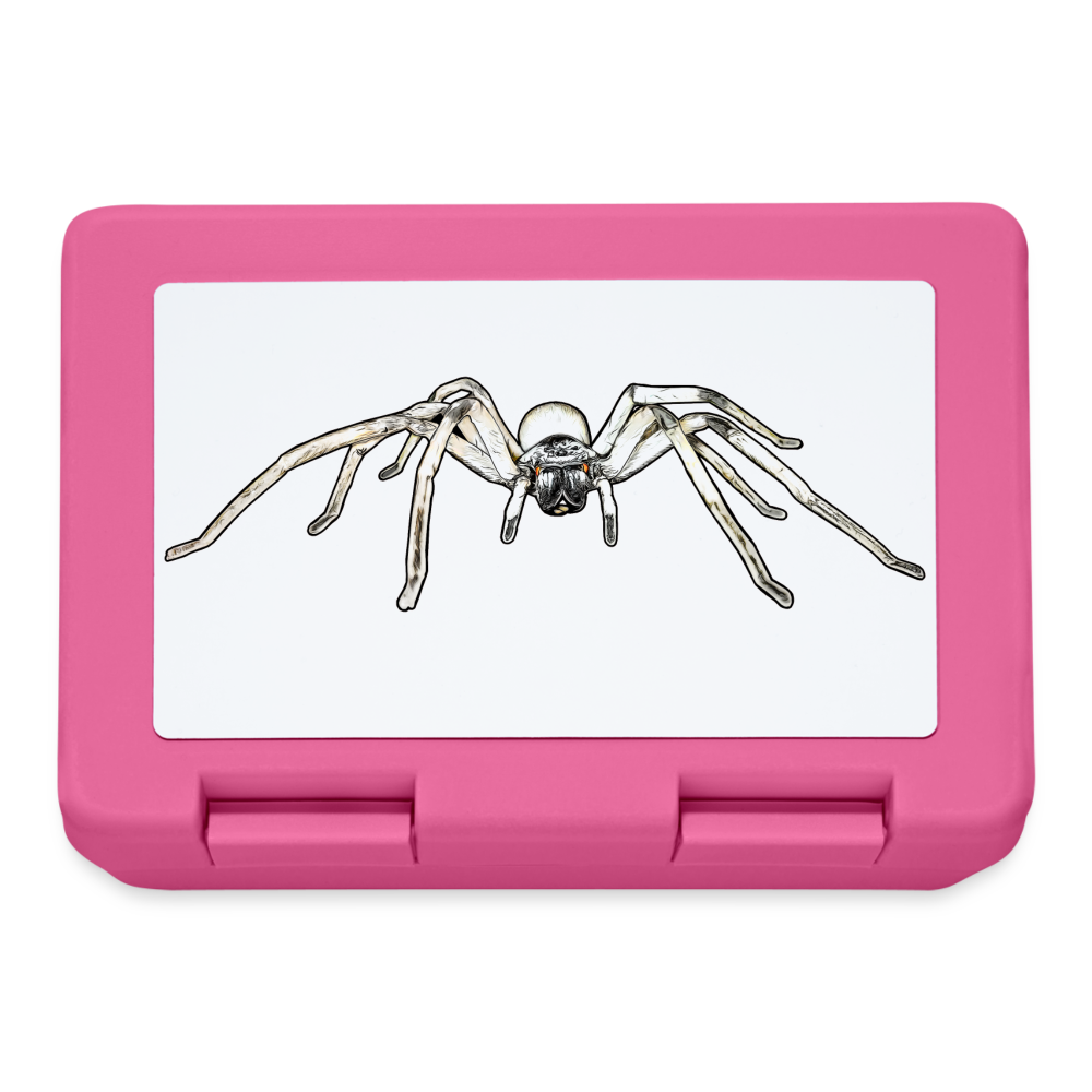 Lunchbox Cerbalus negebensis - Pink