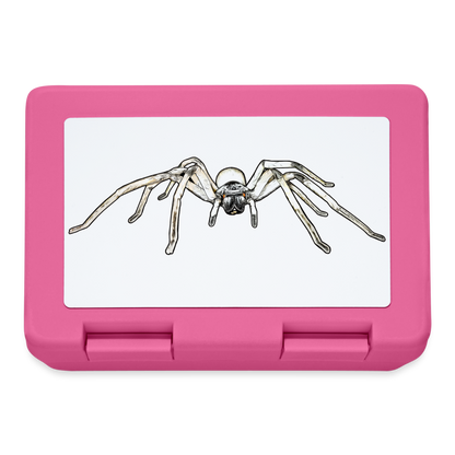 Lunchbox Cerbalus negebensis - Pink