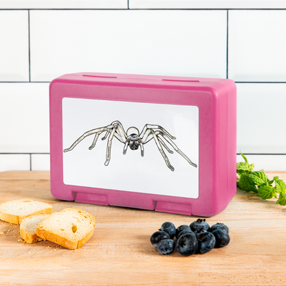 Lunchbox Cerbalus negebensis - Pink