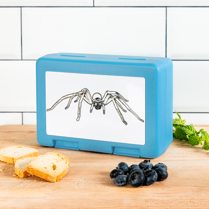 Lunchbox Cerbalus negebensis - Saphirblau