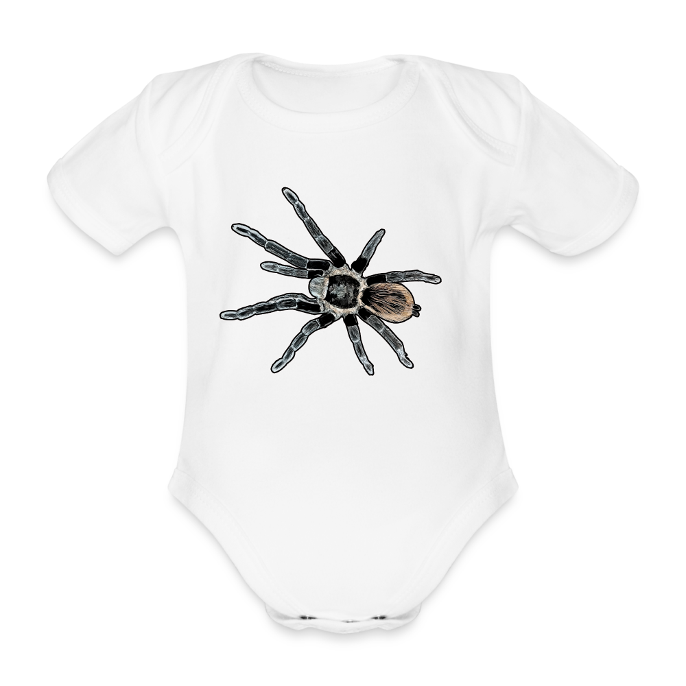 Baby Bio Body kurz Tliltocatl vagans - weiß