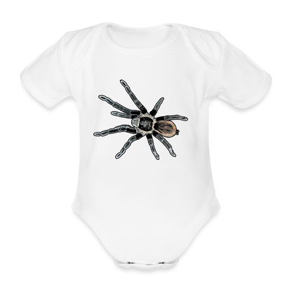 Baby Bio Body kurz Tliltocatl vagans - weiß