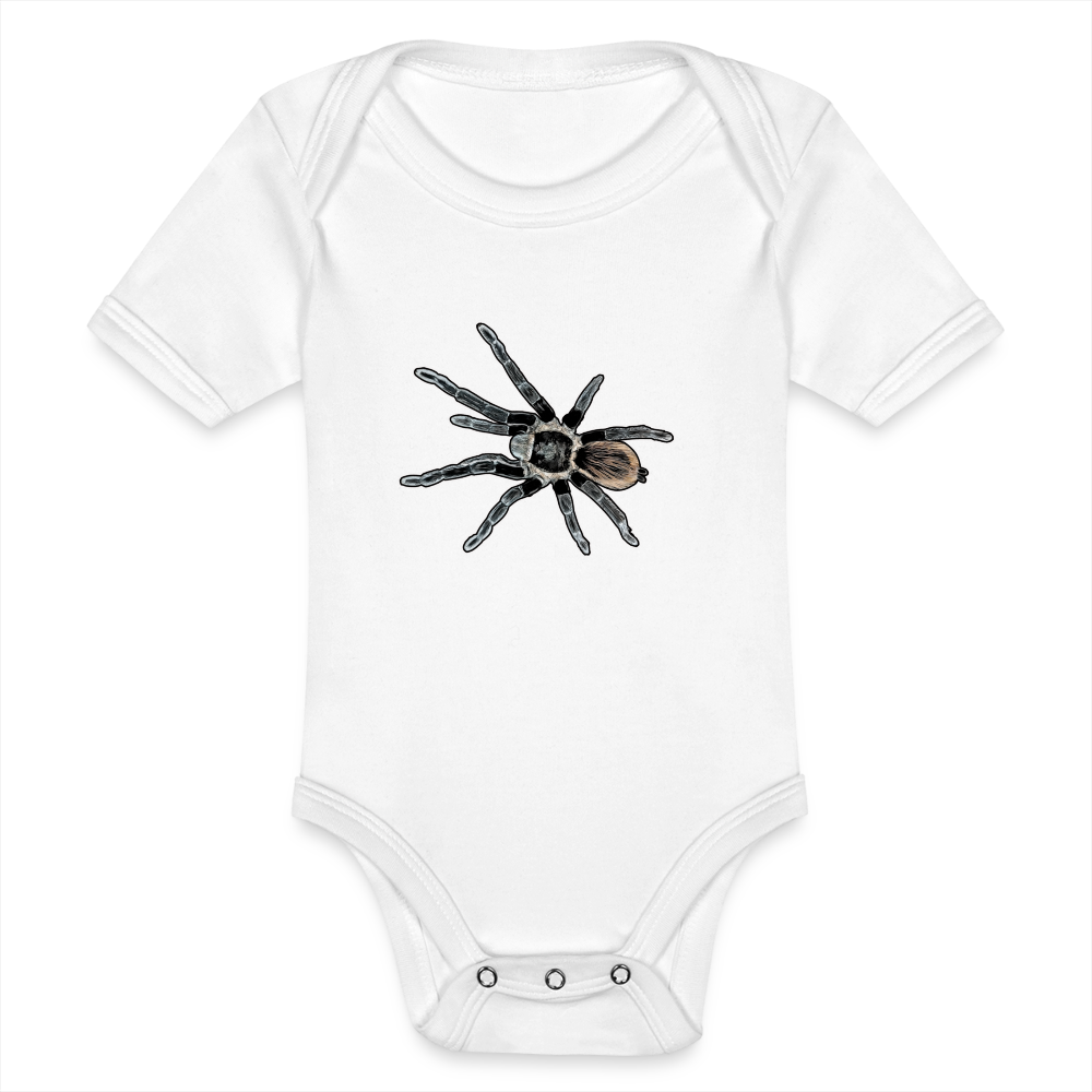 Baby Bio Body kurz Tliltocatl vagans - weiß