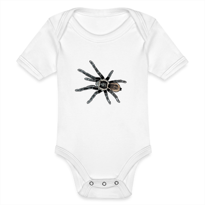 Baby Bio Body kurz Tliltocatl vagans - weiß