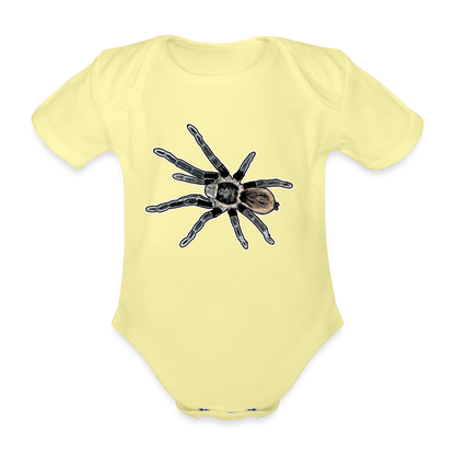 Baby Bio Body kurz Tliltocatl vagans - Hellgelb