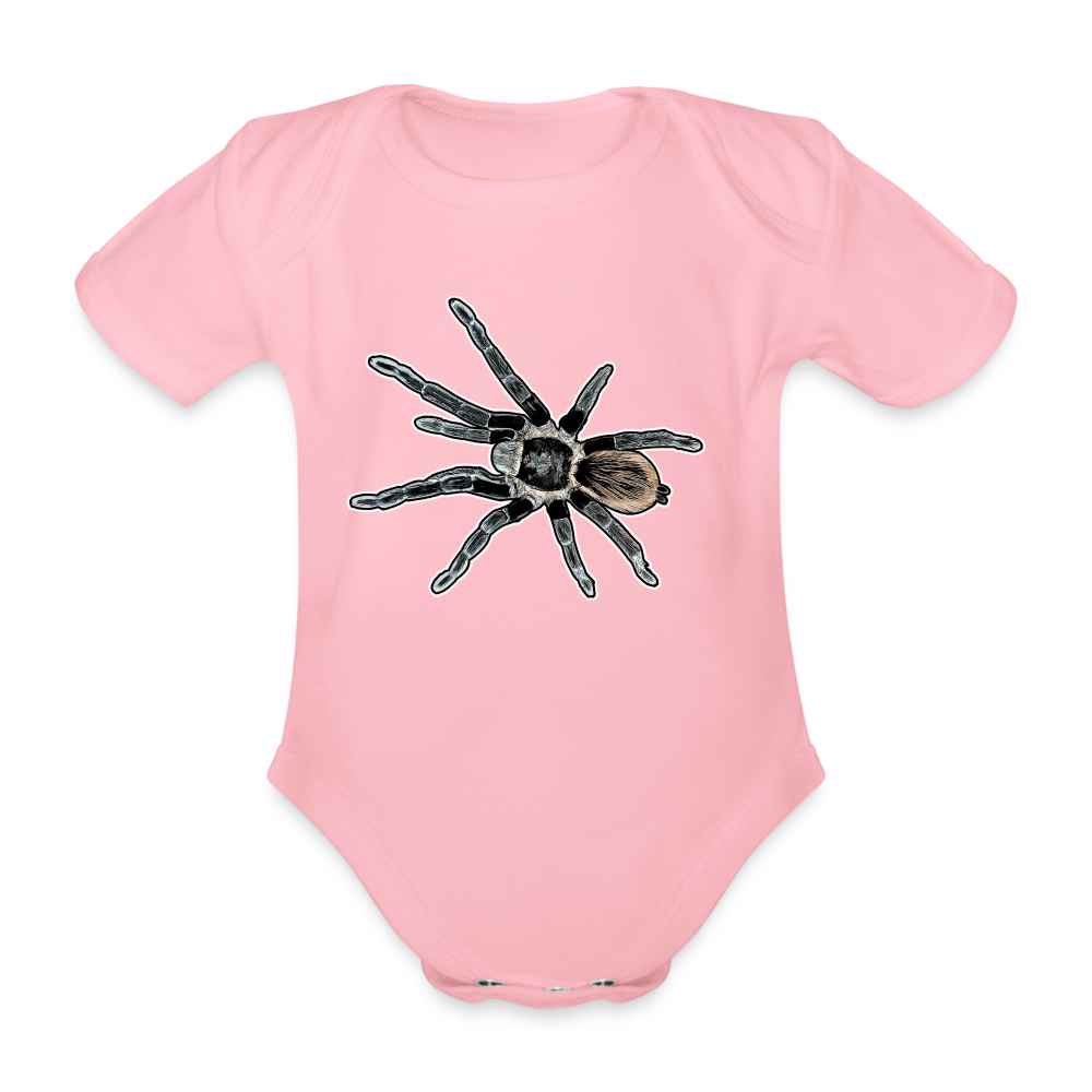 Baby Bio Body kurz Tliltocatl vagans - Hellrosa