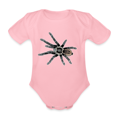 Baby Bio Body kurz Tliltocatl vagans - Hellrosa