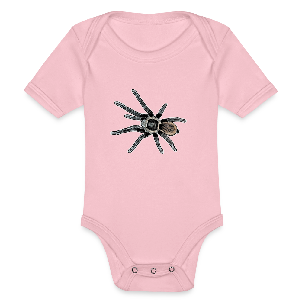 Baby Bio Body kurz Tliltocatl vagans - Hellrosa