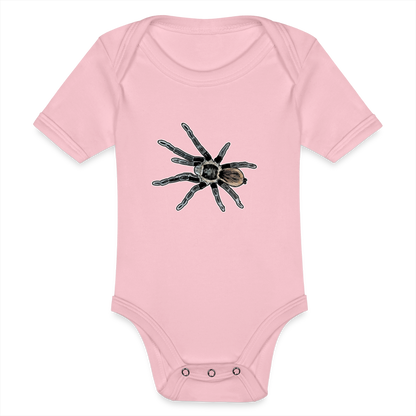 Baby Bio Body kurz Tliltocatl vagans - Hellrosa