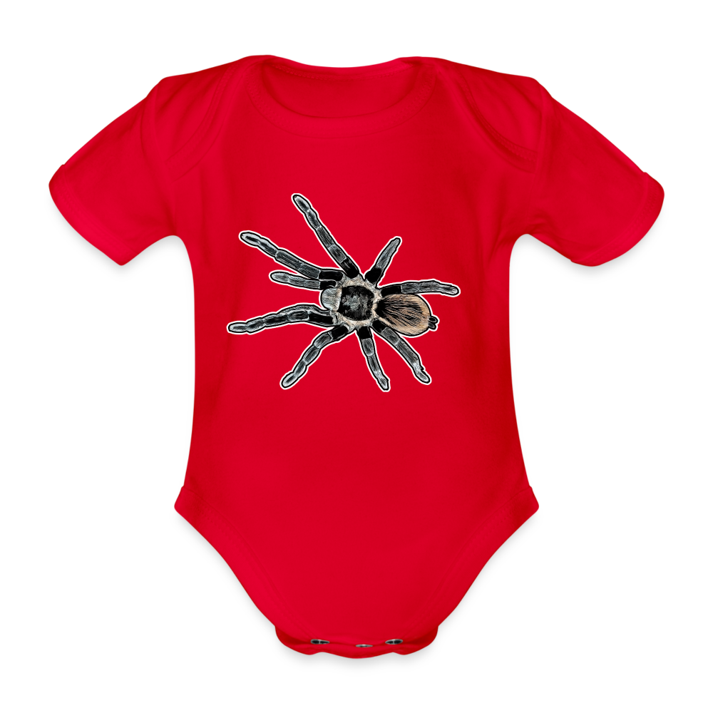 Baby Bio Body kurz Tliltocatl vagans - Rot