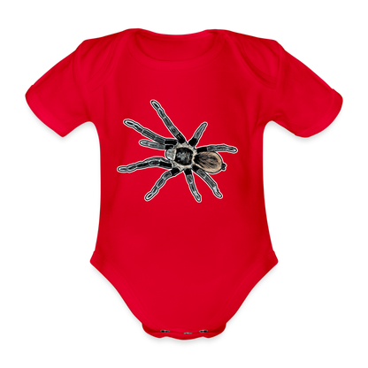 Baby Bio Body kurz Tliltocatl vagans - Rot